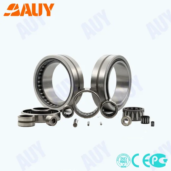K 24X28X10 K 65X73X30 NA 4907 RS High-Precision Needle Roller Bearing for Auy Tillage Machinery