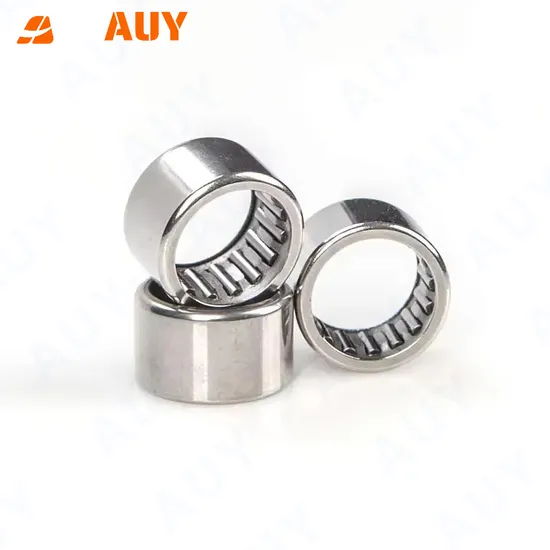 Auy-Tillage-Machinery-Industry-Leading-K-19X23X13-HK-2818-RS-Bk-2518-RS-Needle-Roller-Bearing