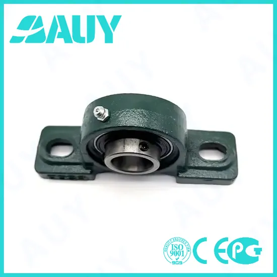 Auy-Top-Level-High-Precision-P2btc-20m-Cpss-Dfh-20m-Cpss-Dfh-Sy-60-FM-Sy-35-Tr-Bearing-Housing-Pillow-Block-Bearing
