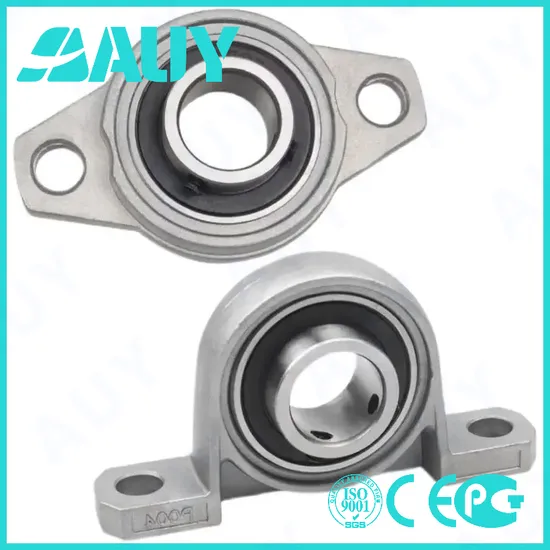 Auy-Top-Level-High-Strength-P2btss-100-Cpss-Dfh-100-Cpss-Dfh-Ucpx10-Ucpx09-Manufacturer-Bearings-Pillow-Block-Bearing