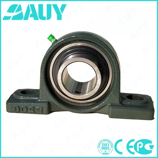 Auy-Top-Level-OEM-P2bss-30m-Cpss-Dfh-30m-Cpss-Dfh-UCP-217-UCP-317-Housing-Bearing-Pillow-Block-Bearing