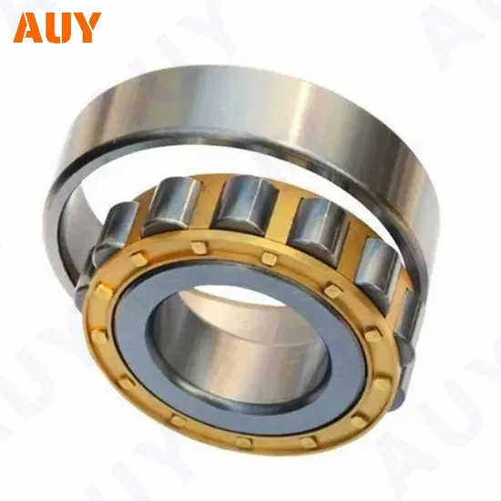 Casting-Machinery-ODM-Nj-2211-Ecml-Nj-2211-Ecp-Nj-2211-Ecph-Nj-2311-Ecml-Single-Row-Cylindrical-Rolling-Bearings