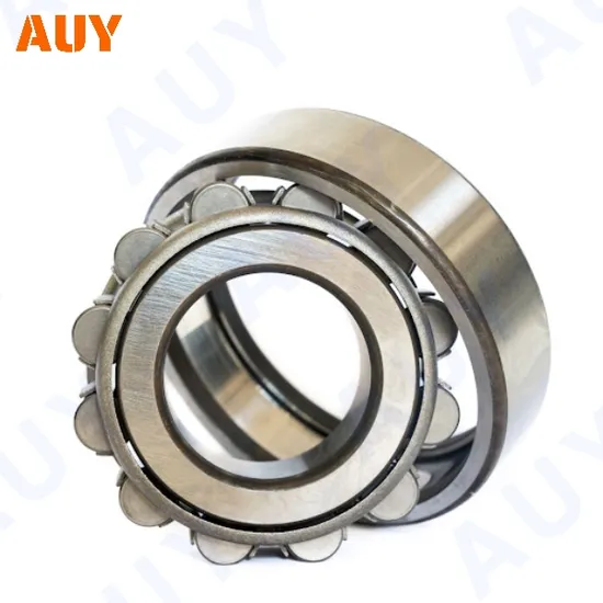 NJ2211 ECML Cylindrical Roller Bearing 55x100x25mm High Load Capacity for Casting Machinery