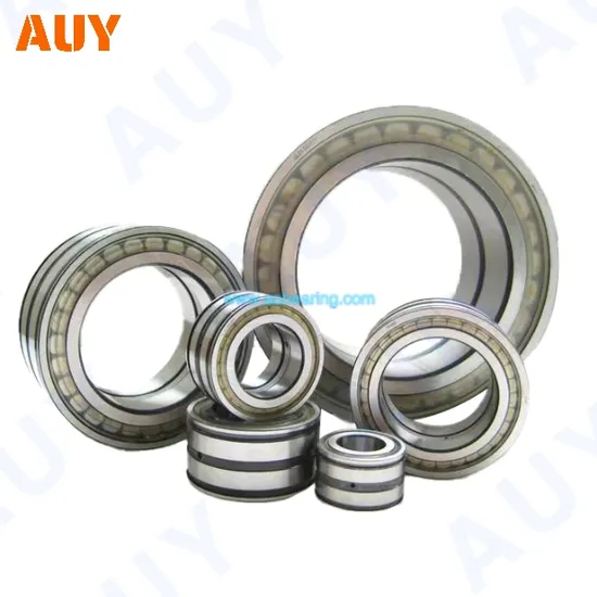 Existing-Goods-Industry-Leading-Nu-1009-Ecph-Nu-209-Ecj-Nu-209-Ecm-Nu-209-Ecml-Single-Row-Cylindrical-Rolling-Bearings