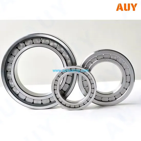 Factory Outlet NJG 309 VH Cylindrical Roller Bearing High Load Capacity