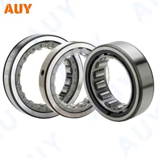 Great-Quality-High-Precision-Nj-2311-Ecph-Nj-311-Ecj-Nj-311-Ecm-Nj-311-Ecml-Single-Row-Cylindrical-Rolling-Bearings