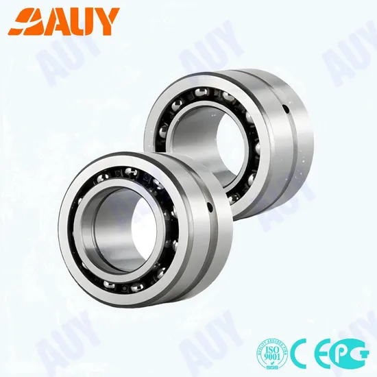 Great Quality NA 4902.2RS RNA 6905 NK75/35 Needle Bearing