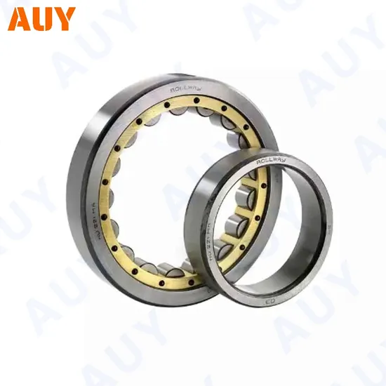 High-Precision-High-Satisfaction-Nu-306-Ecml-Nu-306-Ecp-Nup-206-Ecml-Nup-206-Ecp-Single-Row-Full-Complement-Cylindrical-Rolling-Bearings