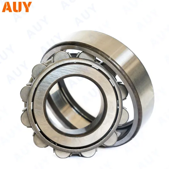 High-Precision-New-Technology-Nu-2309-Ecp-Nu-309-Ecj-Nu-309-Ecm-Nu-309-Ecml-Single-Row-Cylindrical-Rolling-Bearings