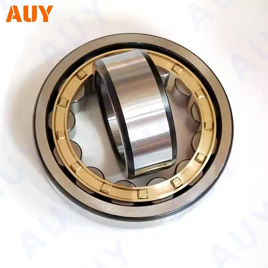 High-Precision-New-Technology-Nu-2309-Ecp-Nu-309-Ecj-Nu-309-Ecm-Nu-309-Ecml-Single-Row-Cylindrical-Rolling-Bearings