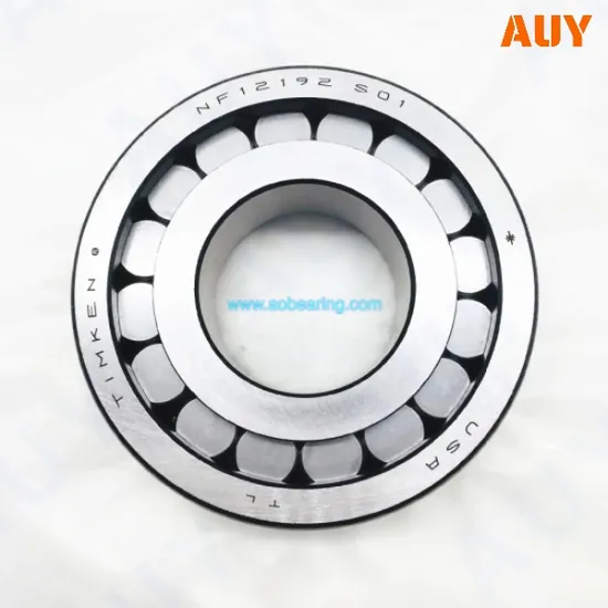 High Quality HJ1072 Cylindrical Roller Bearing 1072 Full Complement for Mixing Machinery