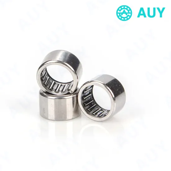 High-Satisfaction-Hot-Sale-Nao-40X55X17-Bk-1010-HK-0912-Needle-Roller-Bearing