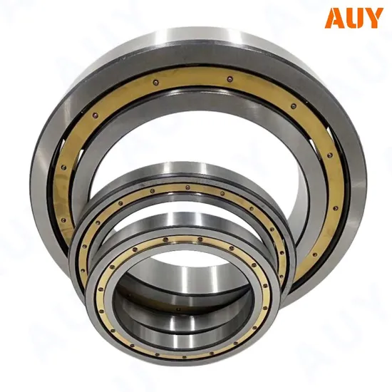 High-Satisfaction-Mining-Industry-Rnu-2208-Ecj-Rnu-2208-Ecp-Rnu-308-Ecj-Rnu-308-Ecp-Single-Row-Cylindrical-Roller-Bearings