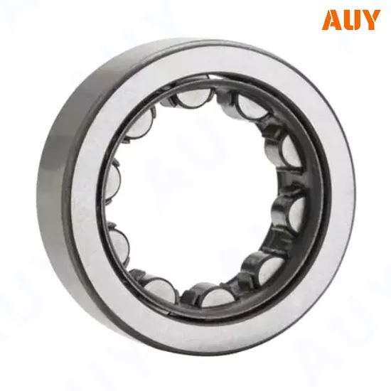 High-Satisfaction-Mining-Industry-Rnu-2208-Ecj-Rnu-2208-Ecp-Rnu-308-Ecj-Rnu-308-Ecp-Single-Row-Cylindrical-Roller-Bearings