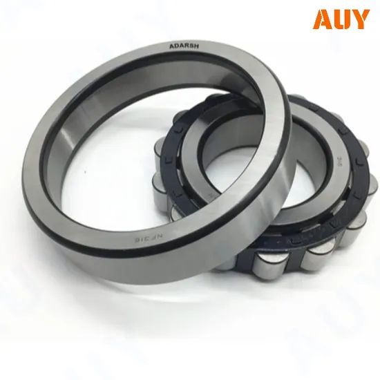 High Satisfaction RNU 2208 ECP Cylindrical Roller Bearing for Mining Industry