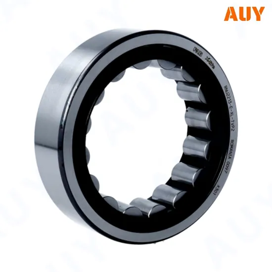 Ncf 3048 CV Bearing High Load Capacity & Durability