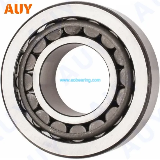 Industry-Leading-High-Strength-Nu-213-Ecml-Nu-213-Ecp-Nu-2213-Ecj-Nu-2213-Ecml-Single-Row-Cylindrical-Rolling-Bearings