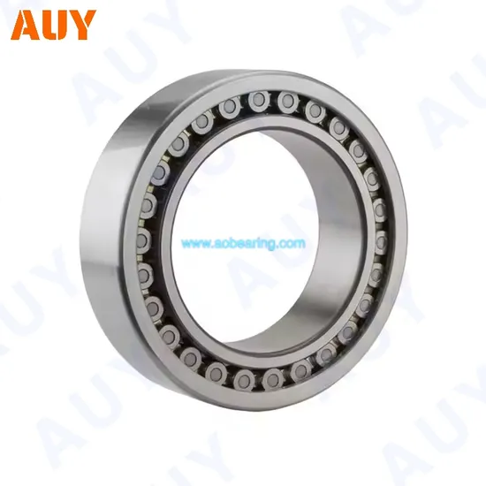 Industry-Leading-Top-Level-Nu-307-Ecph-Nup-207-Ecj-Nup-207-Ecm-Nup-207-Ecml-Single-Row-Full-Complement-Cylindrical-Roller-Bearings