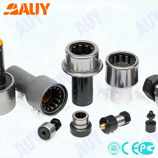 RNAO 25X35X17 BK2526 NA4910 Needle Bearing High Load Capacity