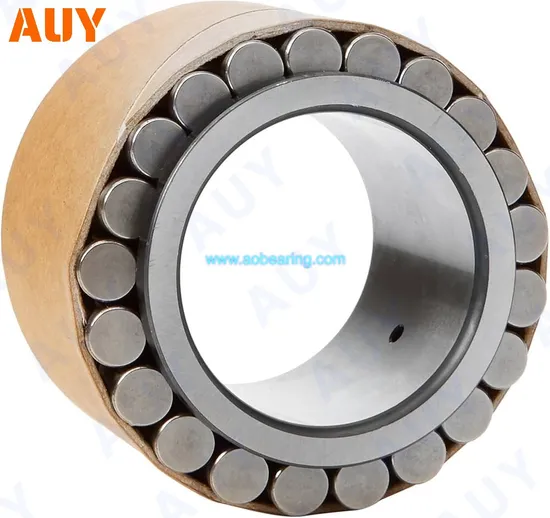 Mixing-Machinery-Casting-Machinery-Nu-2212-Ecm-Nu-2212-Ecml-Nu-2212-Ecp-Nu-2212-Ecph-Single-Row-Cylindrical-Rolling-Bearings