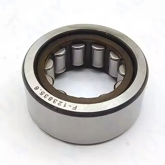 New-Technology-Existing-Goods-Nup-319-Ecml-Nup-319-Ecp-N-220-Ecp-N-320-Ecm-Single-Row-Cylindrical-Roller-Bearings