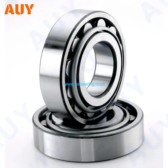 New-Technology-High-Speed-Nu-2308-Ecp-Nu-2308-Ecph-Nu-308-Ecj-Nu-308-Ecm-Single-Row-Cylindrical-Roller-Bearings