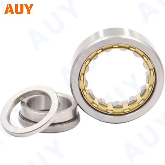Nup 305 Ecp Cylindrical Roller Bearings – High Load, Low Noise, Inexpensive