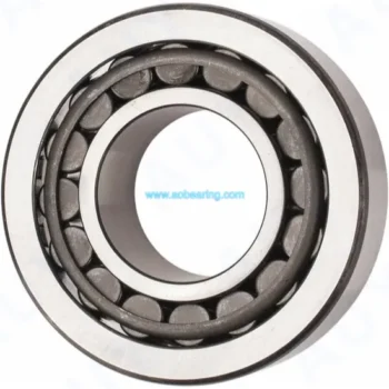 ODM Nu 1038 M & Nu 2238 ECM Cylindrical Roller Bearings