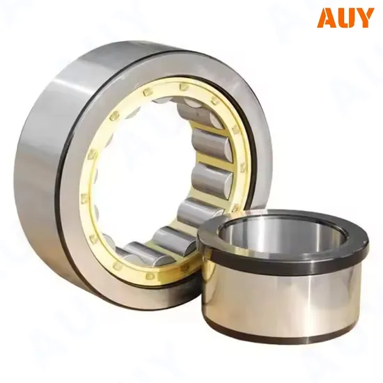 OEM High-Precision RNU 220 ECP Cylindrical Roller Bearing, Full Complement, Single Row, High Load Capacity