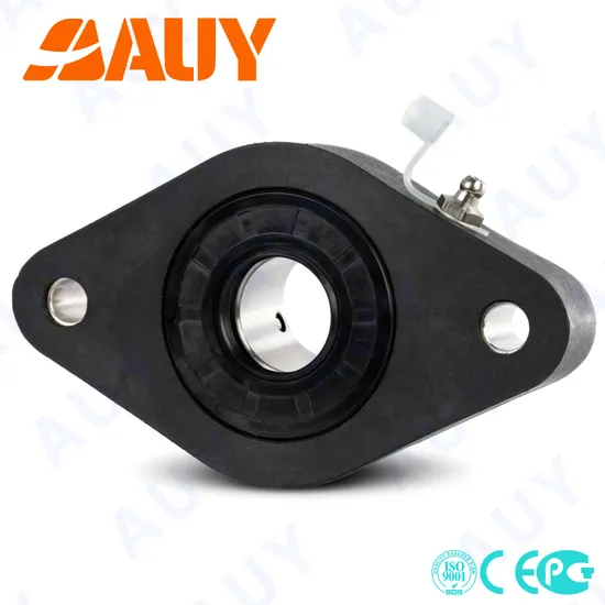 Qi-66-Top-Level-Customized-F2bess-104s-Cpss-Dfh-104s-Cpss-Dfh-UCFL-217-UCFL-207-Housing-Bearing