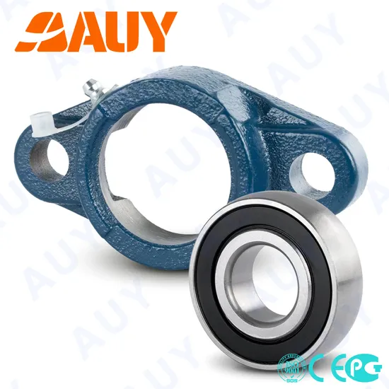 Qi-66-Top-Level-Customized-F2bess-104s-Cpss-Dfh-104s-Cpss-Dfh-UCFL-217-UCFL-207-Housing-Bearing