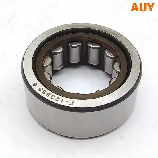Rust-Prevention-Factory-Price-Rnu-1011-Rnu-310-Ecj-Rnu-310-Ecp-Rnu-211-Ecj-Single-Row-Cylindrical-Roller-Bearings