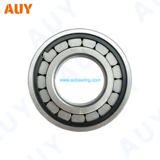 Rust-Prevention-Inexpensive-Nup-309-Ecml-Nup-309-Ecnp-Nup-309-Ecp-N-210-Ecp-Single-Row-Cylindrical-Rolling-Bearings