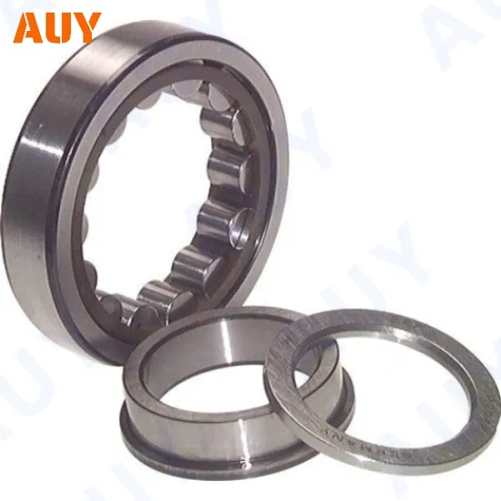 Timken-NSK-Mining-Machinery-Rust-Prevention-N-305-Ecp-Nj-205-Ecj-Nj-205-Ecml-Nj-205-Ecp-Single-Row-Full-Complement-Cylindrical-Roller-Bearings